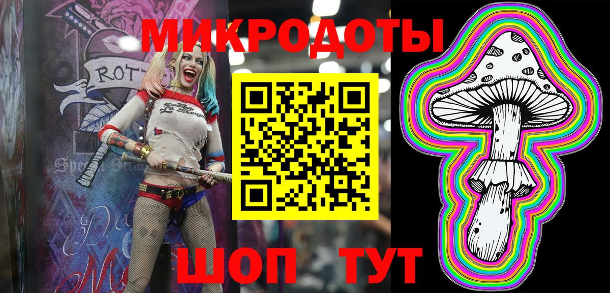Псилоцибиновые грибы Psilocybe Соликамск